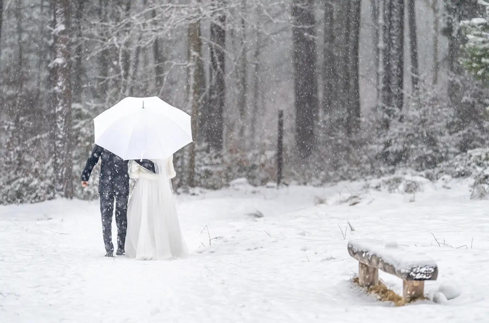 Winter Wedding Photoshoots